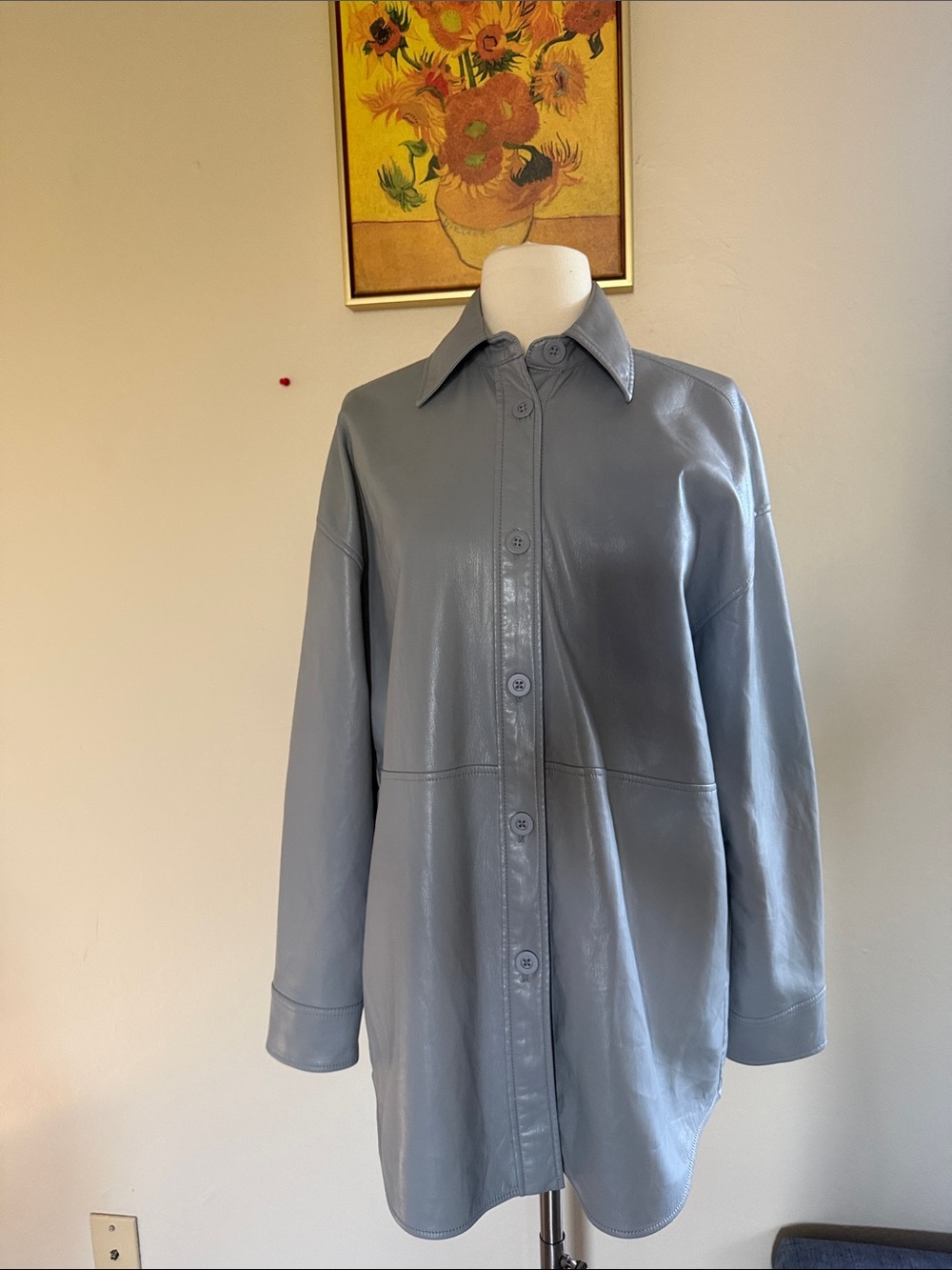 Aritzia Light Blue Leather Button-Up Jacket